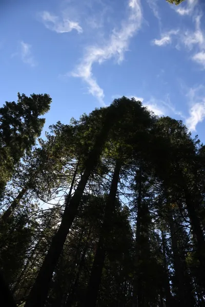 DSC_4282 (Large).JPG